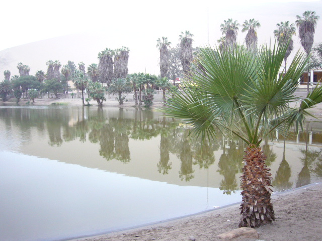 Huacachina - Oasis town